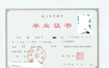 大学选择