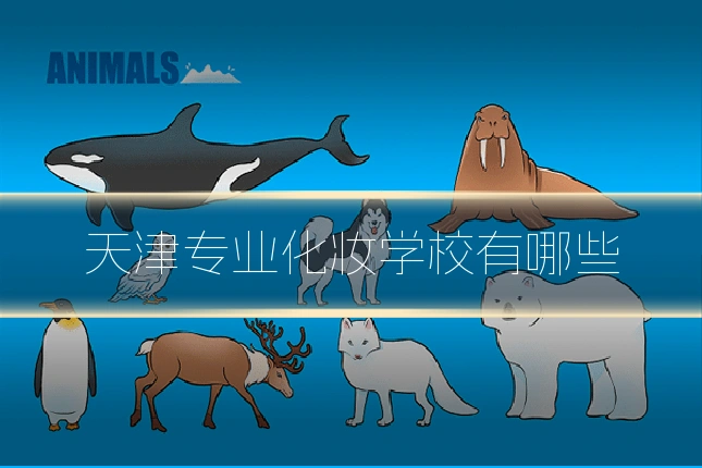 天津专业化妆学校有哪些