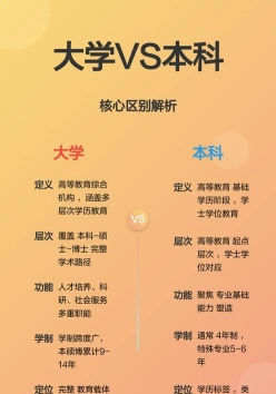 本科教育