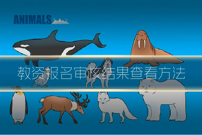 教资报名审核结果查看方法