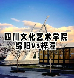 四川艺术学校