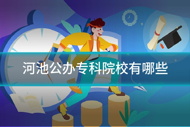 河池公办专科院校有哪些