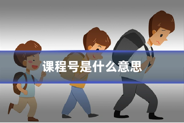 课程号是什么意思