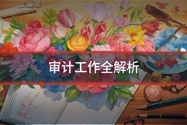 审计工作全解析