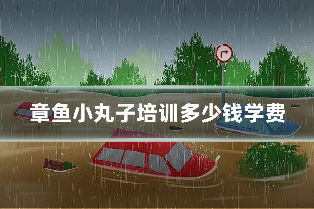 章鱼小丸子培训多少钱学费