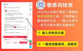 小红书合集排版错乱修复技巧指南
