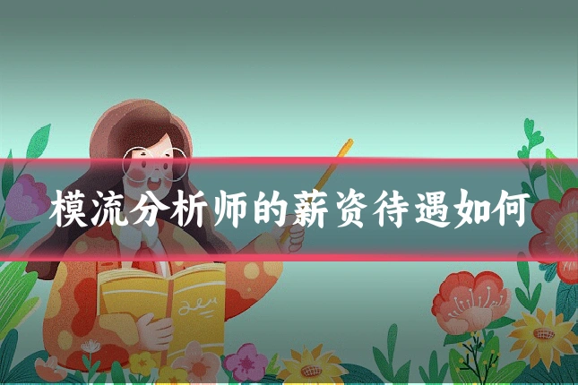 模流分析师的薪资待遇如何