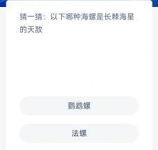 支付宝神奇海洋鹦鹉螺问题技巧