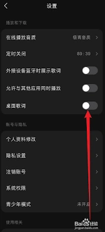 汽水音乐桌面歌词开启方法步骤分享