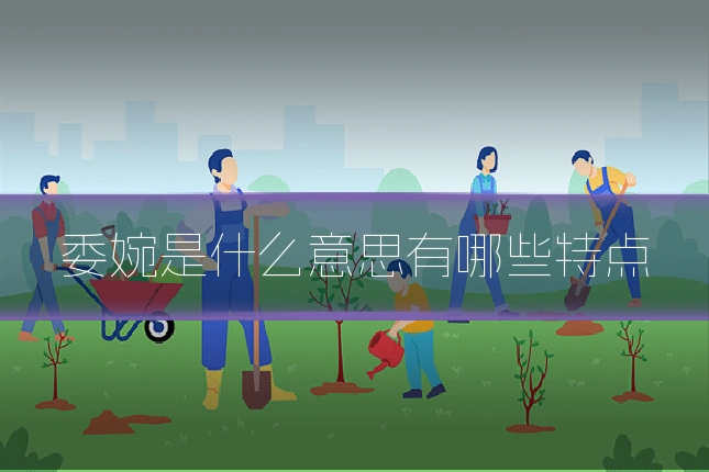 委婉是什么意思有哪些特点