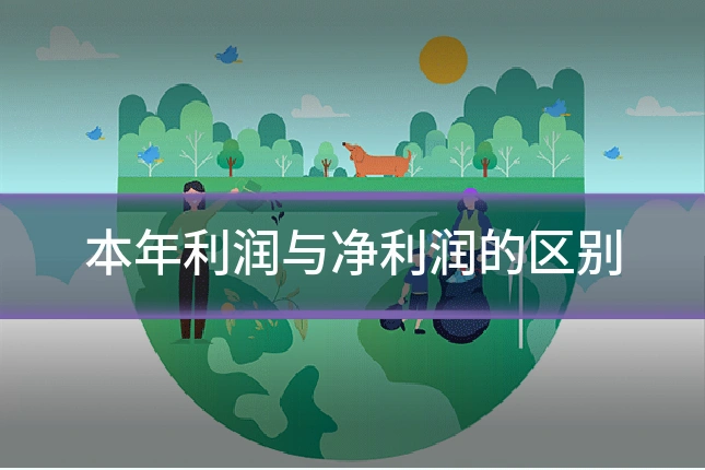 本年利润与净利润的区别
