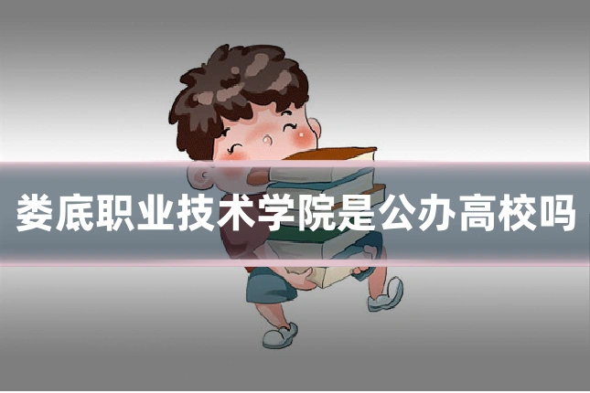 娄底职业技术学院是公办高校吗
