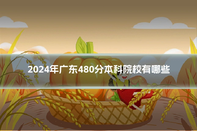 2024年广东480分本科院校有哪些