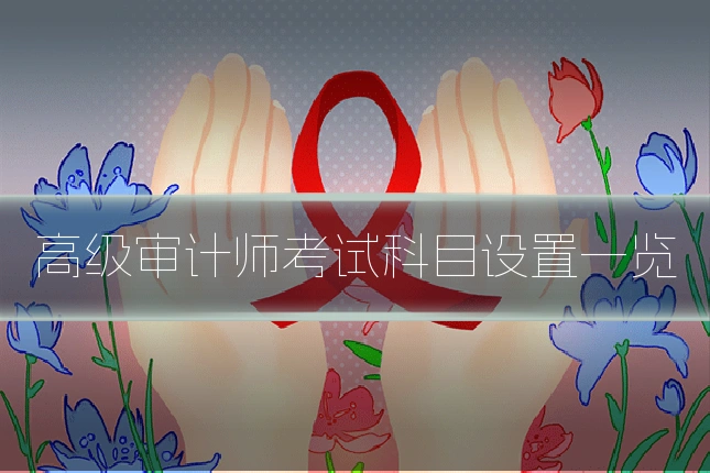 高级审计师考试科目设置一览