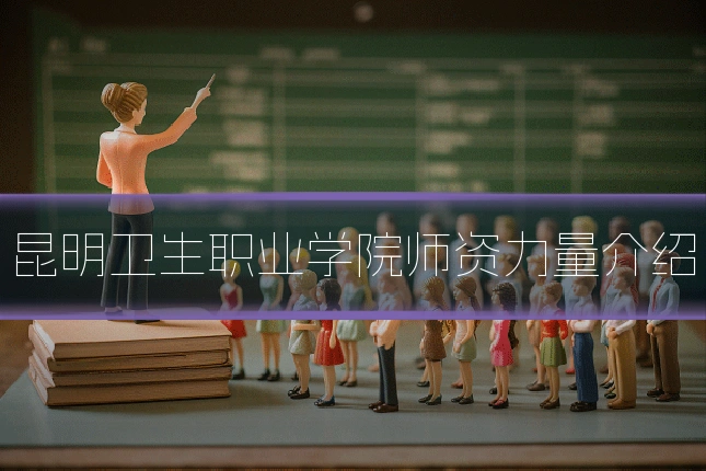 昆明卫生职业学院师资力量介绍