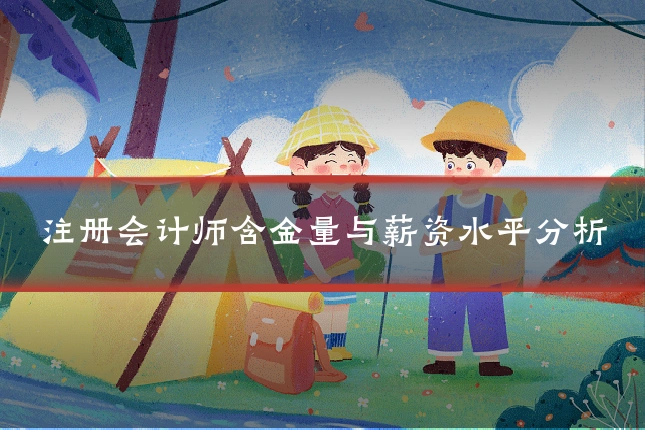 注册会计师含金量与薪资水平分析