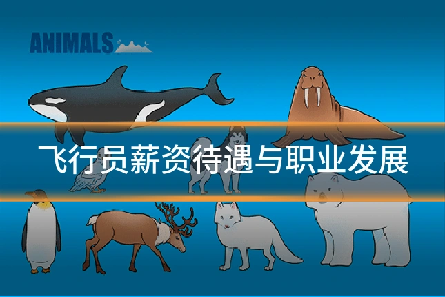 飞行员薪资待遇与职业发展