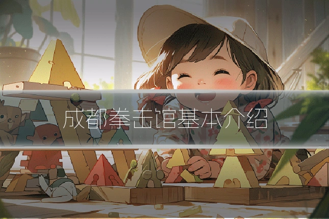 成都拳击馆基本介绍