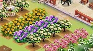 我的花园山茶花培育教程