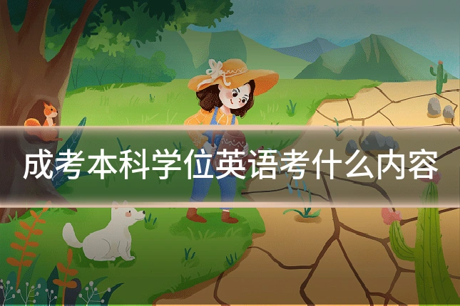 成考本科学位英语考什么内容