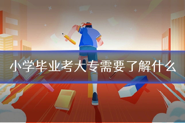 小学毕业考大专需要了解什么