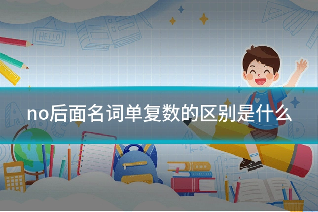 no后面名词单复数的区别是什么