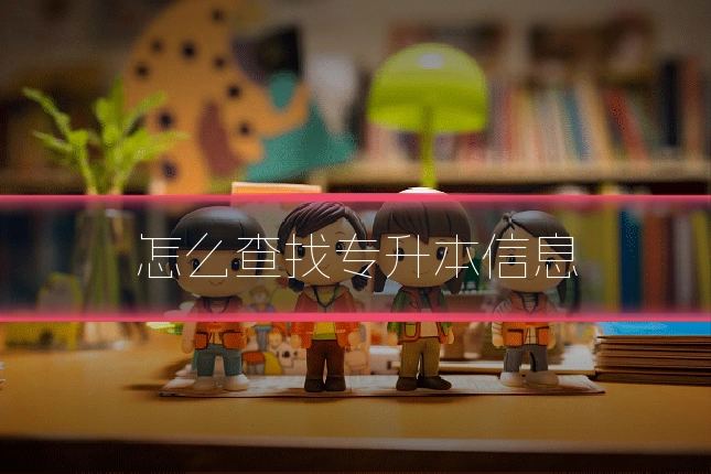怎么查找专升本信息