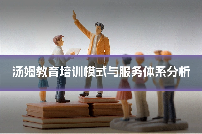 汤姆教育培训模式与服务体系分析
