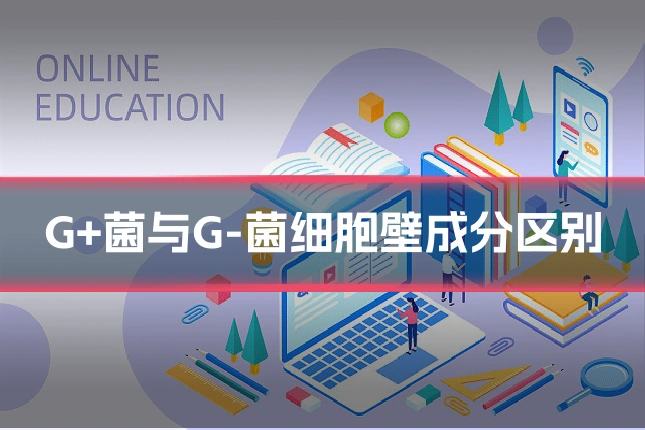 G+菌与G-菌细胞壁成分区别
