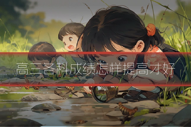 高三各科成绩怎样提高才好