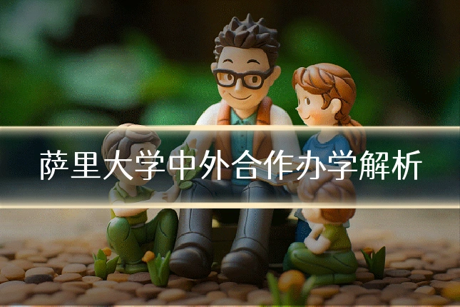 萨里大学中外合作办学解析