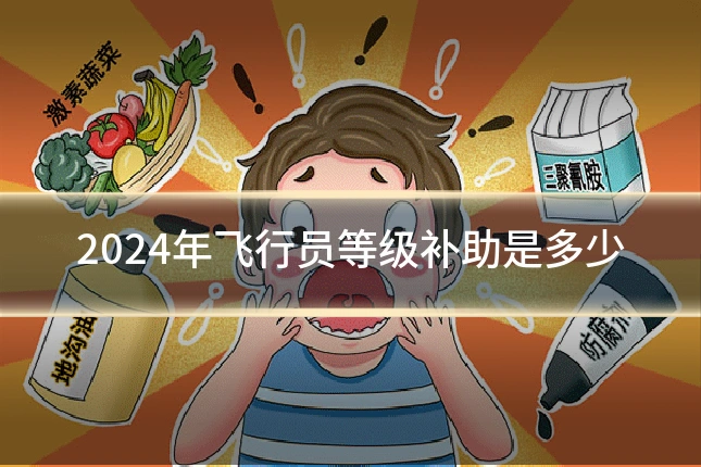 2024年飞行员等级补助是多少