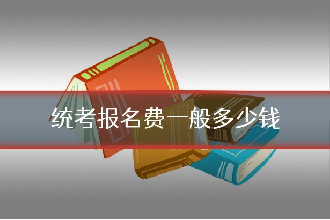 统考报名费一般多少钱