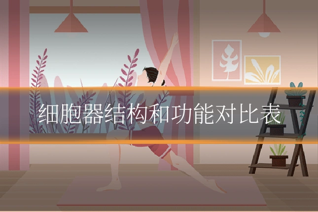 细胞器结构和功能对比表