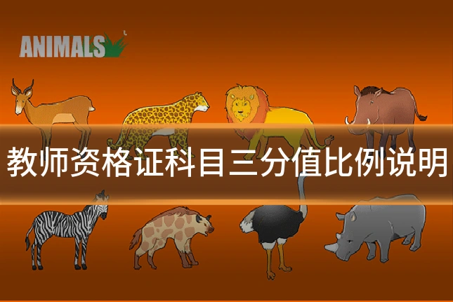 教师资格证科目三分值比例说明