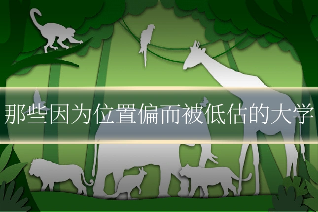 那些因为位置偏而被低估的大学