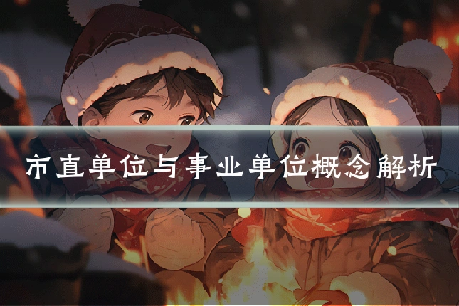 市直单位与事业单位概念解析