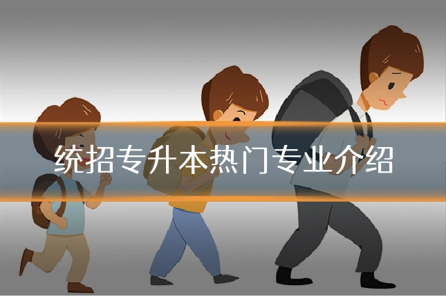 统招专升本热门专业介绍