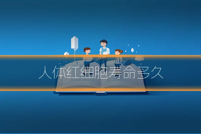 人体红细胞寿命多久