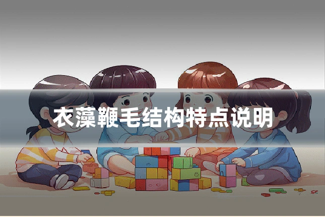 衣藻鞭毛结构特点说明