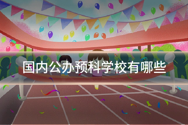 国内公办预科学校有哪些