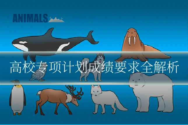 高校专项计划成绩要求全解析
