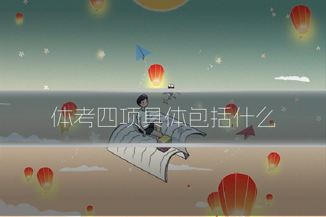 体考四项具体包括什么