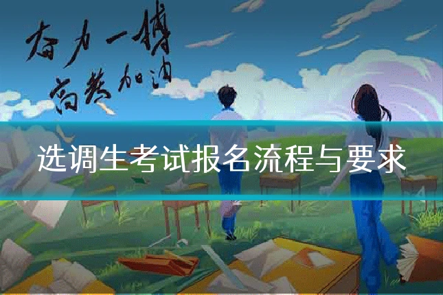 选调生考试报名流程与要求