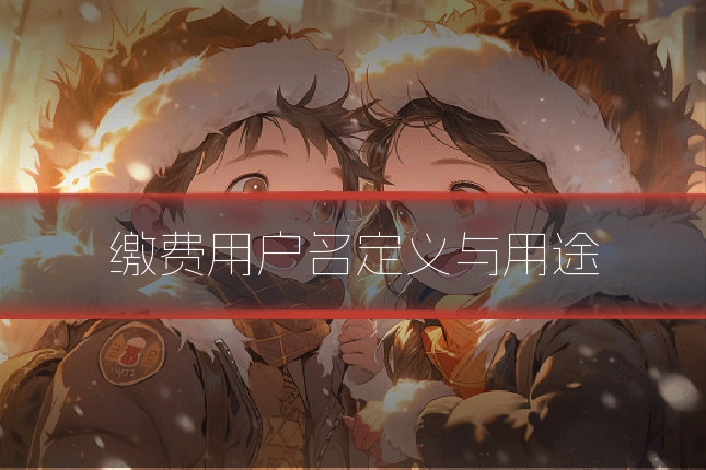 缴费用户名定义与用途
