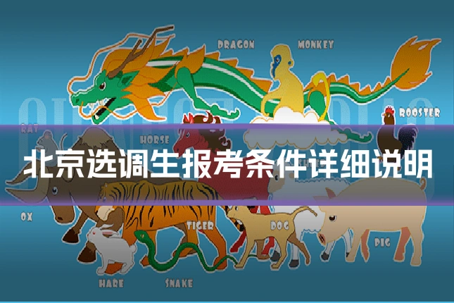 北京选调生报考条件详细说明