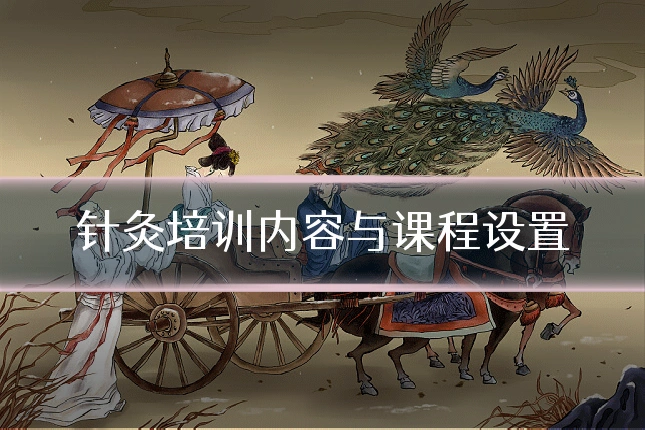 针灸培训内容与课程设置