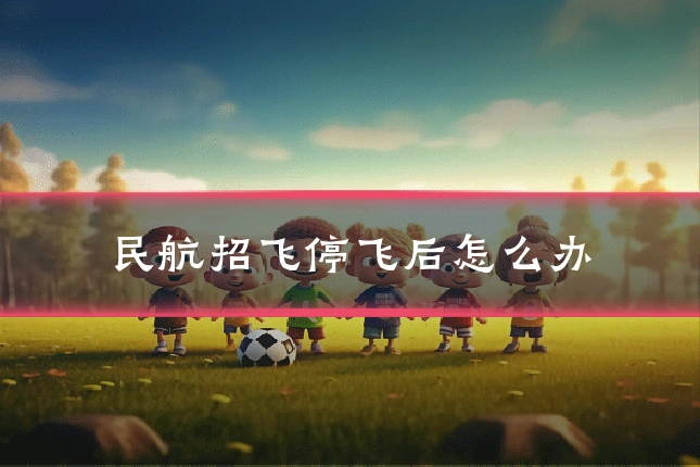 民航招飞停飞后怎么办