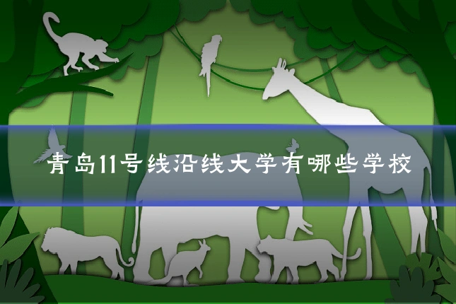 青岛11号线沿线大学有哪些学校