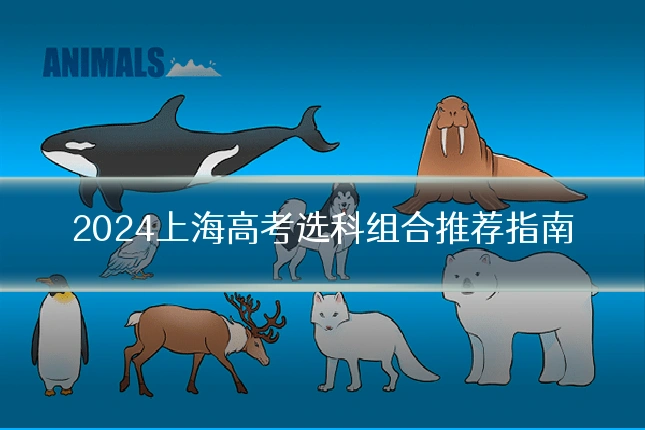 2024上海高考选科组合推荐指南